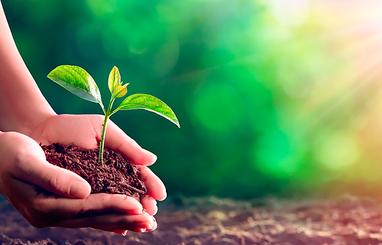 AGGAME��(�й���)���Źٷ���վ