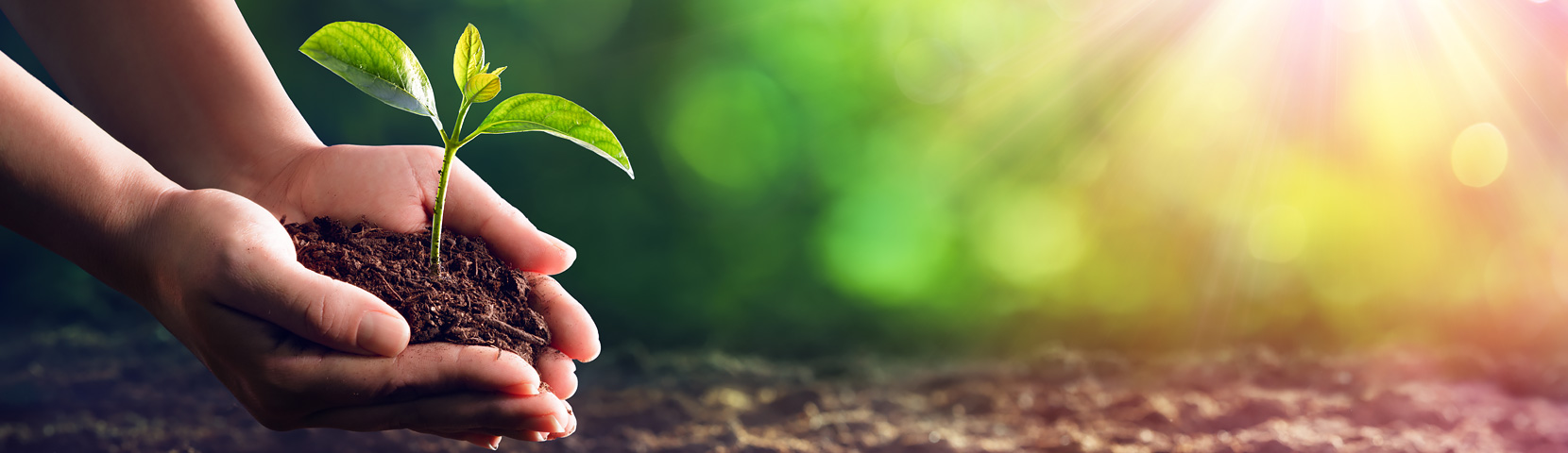 AGGAME��(�й���)���Źٷ���վ